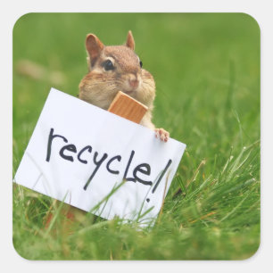 recycling chipmunk square sticker