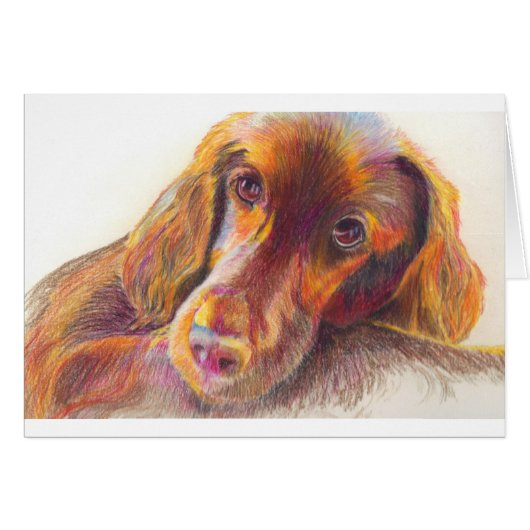 Red (Front Horizontal)