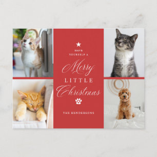 Red 4 Photo Merry Little Christmas Pet Holiday Postcard