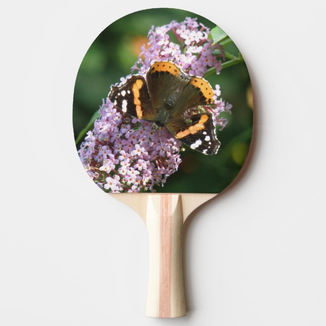 Red Admiral Butterfly and Buddleia Ping Pong Paddle (Front)