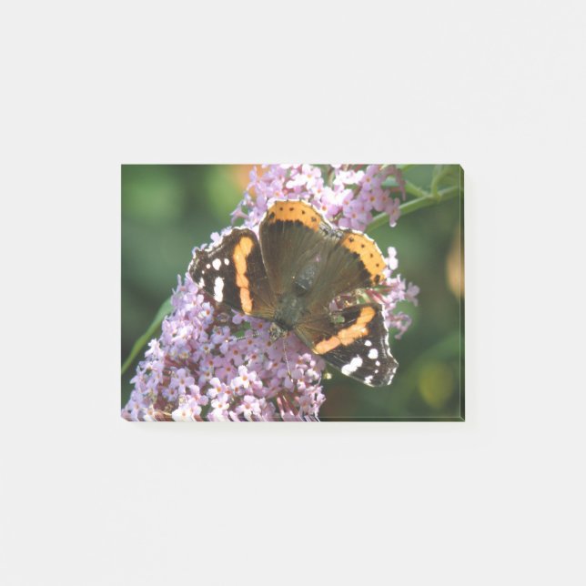 Red Admiral Butterfly and Buddleia Post it notes (Front)