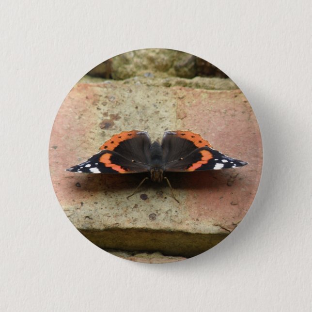 Red Admiral Butterfly Button (Front)