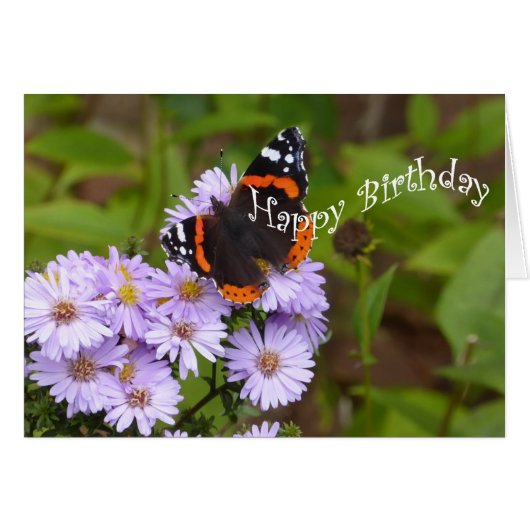 Red Admiral butterfly Cards (Front Horizontal)