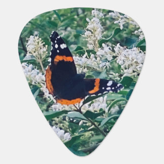 red admiral butterfly guitar pick