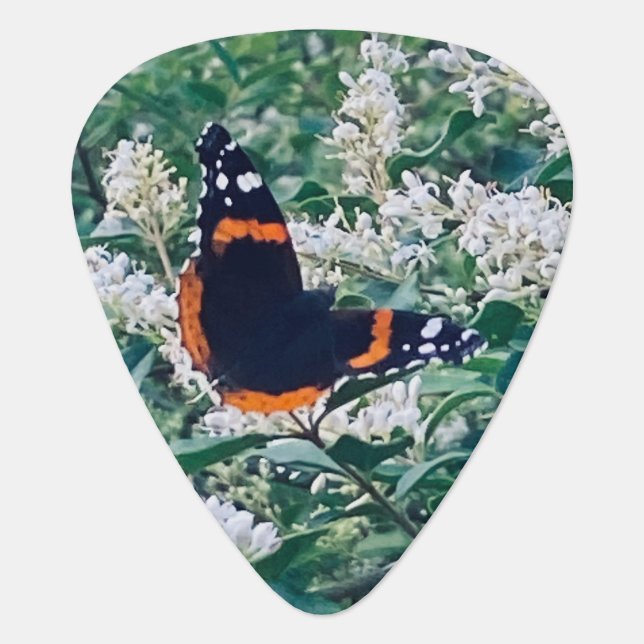 red admiral butterfly guitar pick (Front)