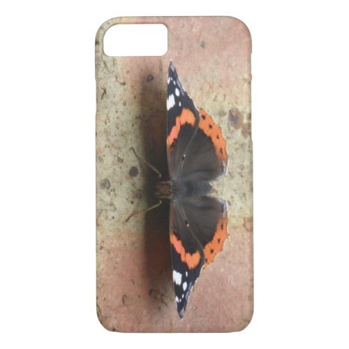 Red Admiral Butterfly iPhone Case