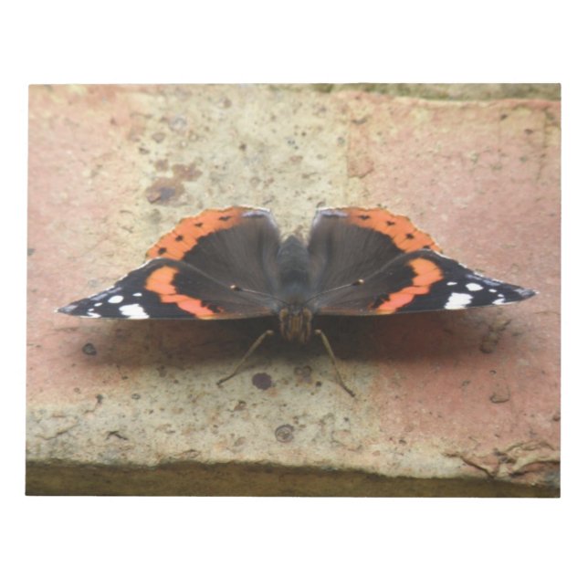 Red Admiral Butterfly Notepad (Front)