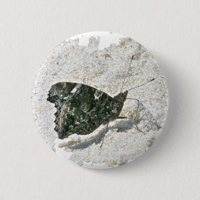 Red Admiral Butterfly on Beach Coordinating Items Pinback Button (Front)