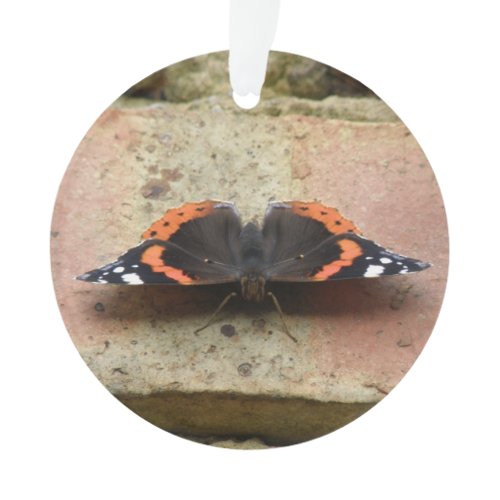 Red Admiral Butterfly Ornament