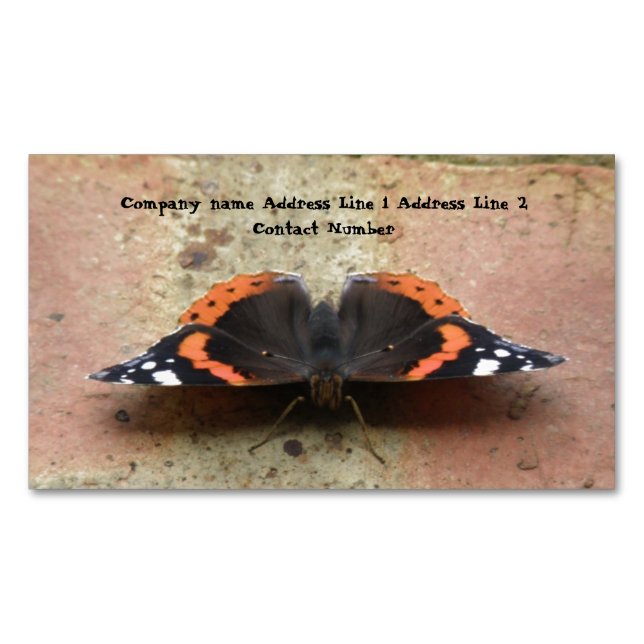 Red Admiral butterfly Personalized Business Card Magnet (Front)