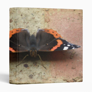 Red Admiral Butterfly Photo Album 3 Ring Binder