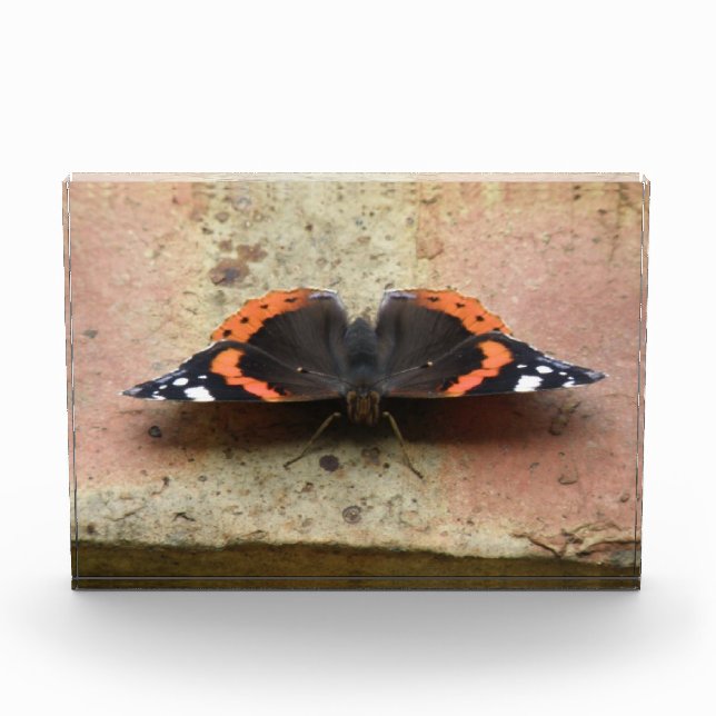 Red Admiral Butterfly Photo Block (Front)