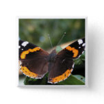 Red Admiral Butterfly Pin