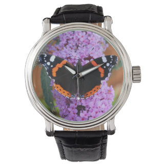 Red Admiral Butterfly Watch