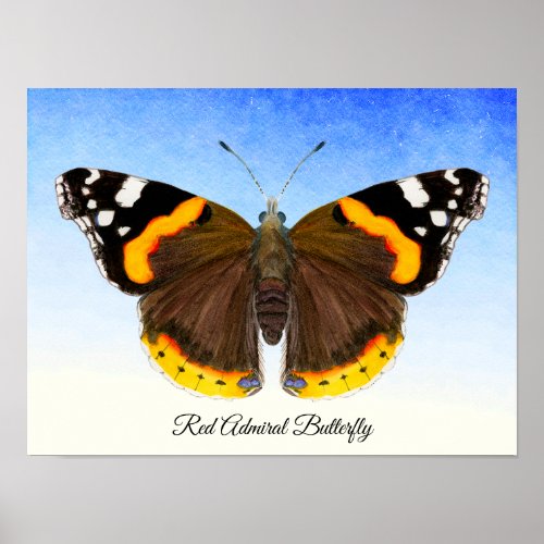 Red Admiral Butterfly Watercolor Painting Poster