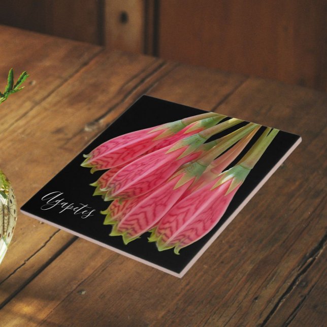 Red Agapetes Flowers on Black Floral Ceramic Tile (In Situ)