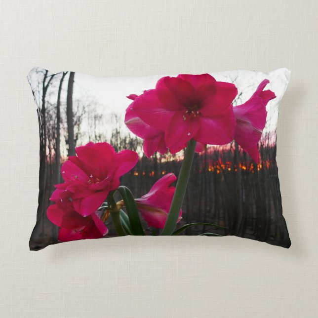Red Amaryllis and Winter Sunrise Accent Pillow (Front)