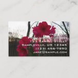 Red Amaryllis and Winter Sunrise Business Card