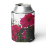Red Amaryllis and Winter Sunrise Can Cooler