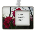 Red Amaryllis and Winter Sunrise Christmas Ornament