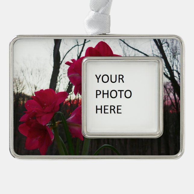 Red Amaryllis and Winter Sunrise Christmas Ornament (Front)