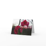 Red Amaryllis and Winter Sunrise Holiday Card