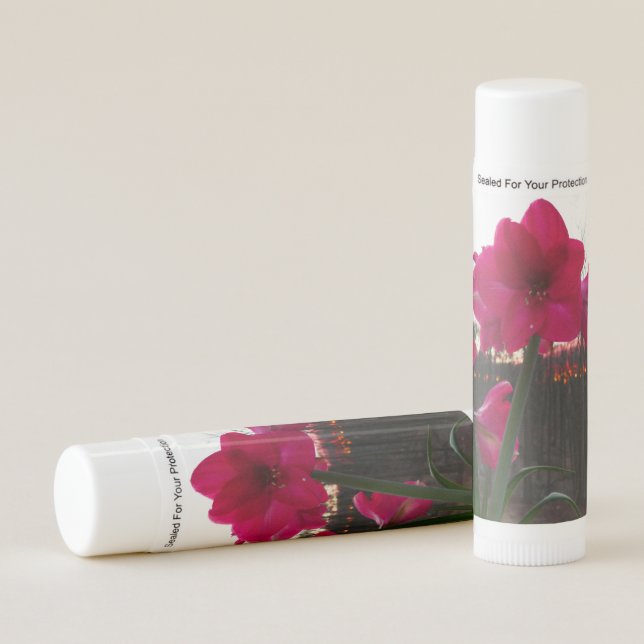 Red Amaryllis and Winter Sunrise Lip Balm (Front)