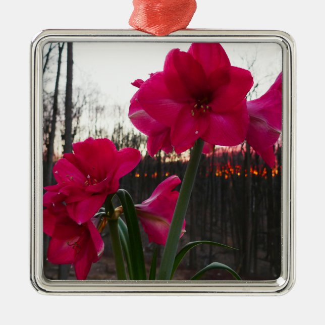 Red Amaryllis and Winter Sunrise Metal Ornament (Front)