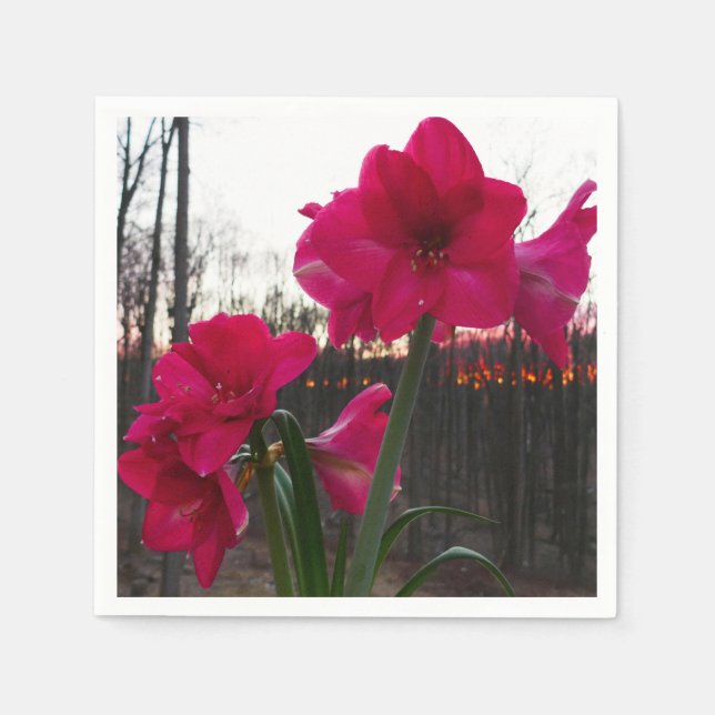 Red Amaryllis and Winter Sunrise Napkins (Front)