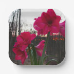 Red Amaryllis and Winter Sunrise Paper Plates