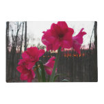 Red Amaryllis and Winter Sunrise Placemat