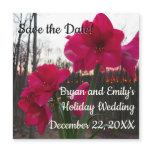 Red Amaryllis and Winter Sunrise Save the Date