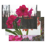 Red Amaryllis and Winter Sunrise Wrapping Paper Sheets