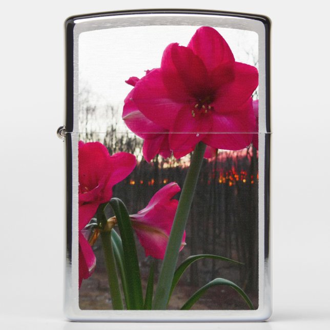 Red Amaryllis and Winter Sunrise Zippo Lighter (Front)