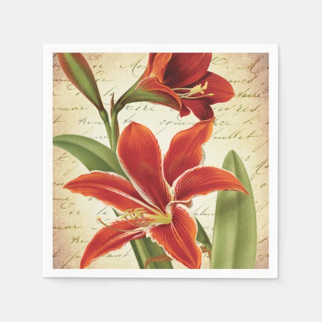 Red Amaryllis Christmas Flower Botanical Napkins (Front)