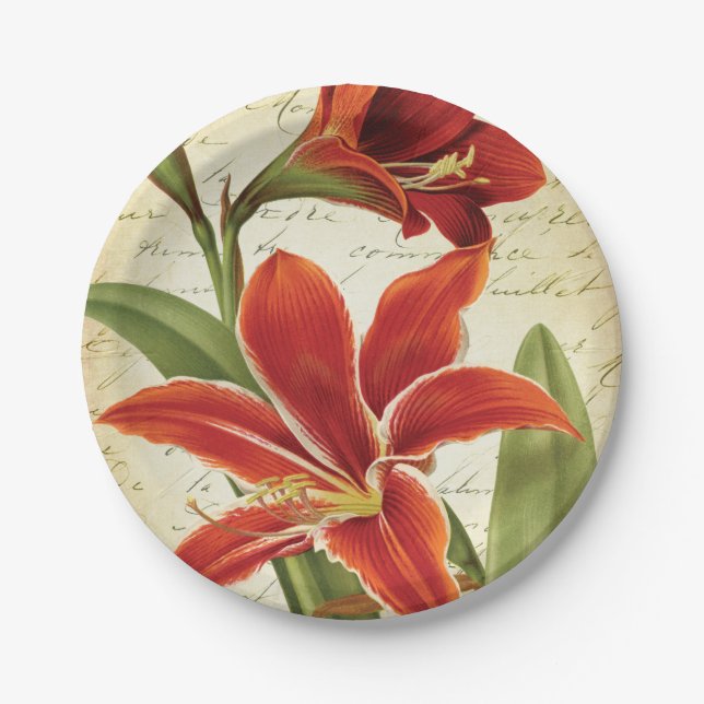 Red Amaryllis Christmas Flower Botanical Paper Plates (Front)