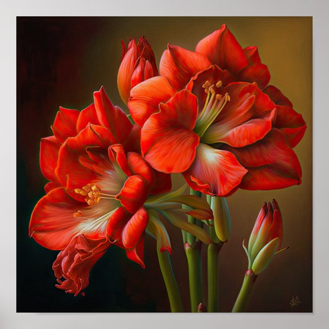 Red Amaryllis Flower Art Print Poster (Front)