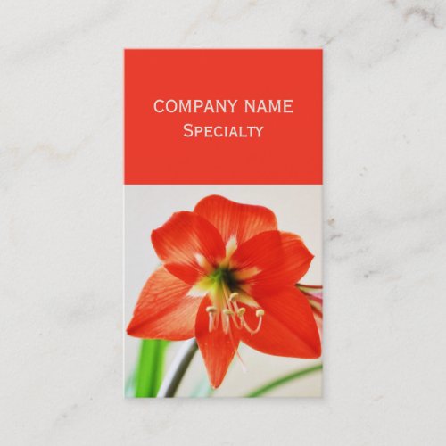 Red Amaryllis Flower Business Card