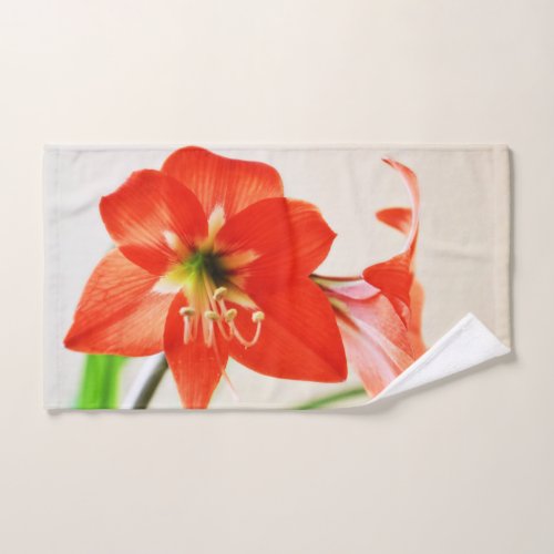 Red Amaryllis Flower Hand Towel