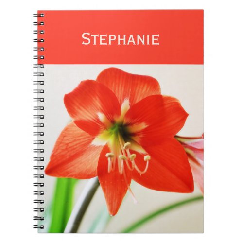 Red Amaryllis Flower Notebook