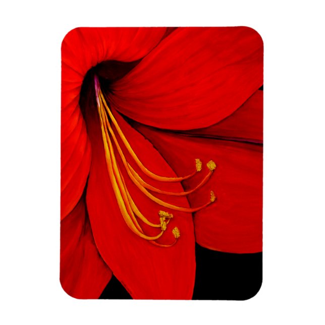 Red Amaryllis Magnet (Vertical)