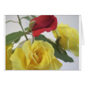 Red amd Yellow Roses (Front Horizontal)