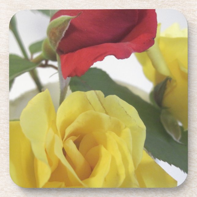 Red amd Yellow Roses Beverage Coaster (Front)