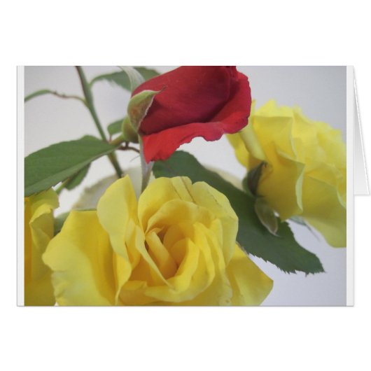 Red amd Yellow Roses Cards (Front Horizontal)