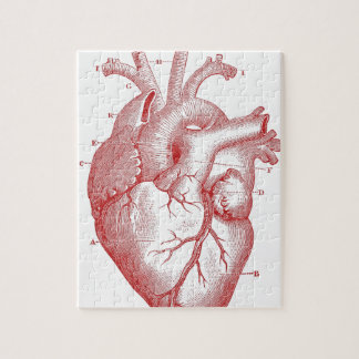 Red Anatomical Heart Jigsaw Puzzle