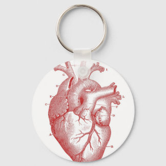 Red Anatomical Heart Keychain