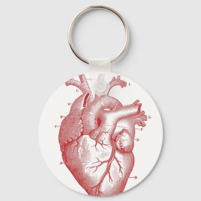 Red Anatomical Heart Keychain (Front)
