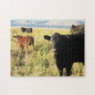 Red and Black Cow Calf Herd - Young Calves Jigsaw Puzzle