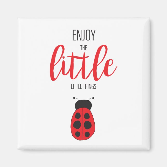 Red and Black Hand Drawn Baby Ladybug Cute Bug Magnet (Front)