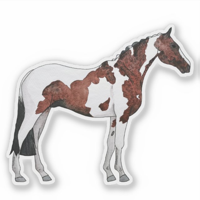 Red and Black Pinto Sticker (Front)